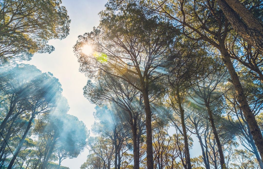 Luchtkwaliteitsmonitoring